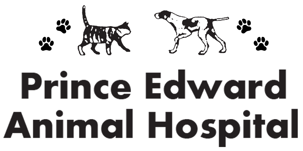 Prince Edward Animal Hospital